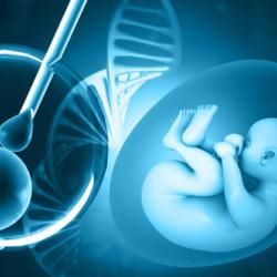 A stock photograph depicting stages of in-vitro fertilisation, including fertilisation of an egg cell, an embryo, and a DNA helix.