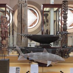 A photograph of various items in the Museum of Archaeology and Anthropology. Items from the Pacific, including two feast bowls, and a woven model shark. Display cases containing artefacts from North America and Africa are in the background.
