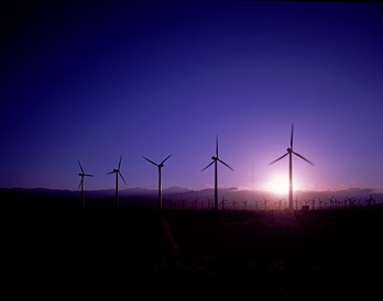 A line of five wind turbines in the foreground, leading into a much bigger windfarm in the background. A demonstration of environmental policy that can aid climate justice, and in doing so conserve the planet.