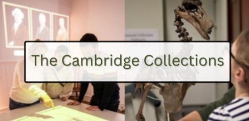 Link to further details of The Cambridge Collections Strategic Research Strand