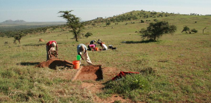 Group of archaeologists excavating site in Keyna